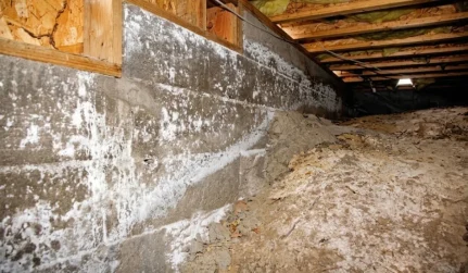 Mold Remediation